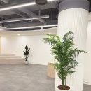 영등포 평생학습관 앞 이미지