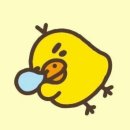 조은 느낌 이미지