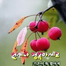윤태화 광주김치축제 공연 &뉴스 이미지