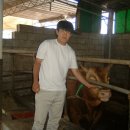 영인목장 이미지