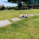 빙수네민박 이미지