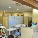 보강연합의원 이미지