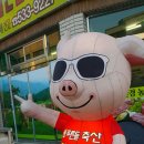 푸른들축산