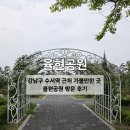 율현 | 강남구 수서역 근처 가볼만한 곳 율현공원 산책 후기