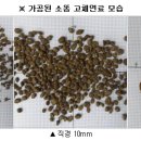 소똥, 수거 뒤 바로 고체연료 만든다 이미지