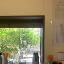 푸디코