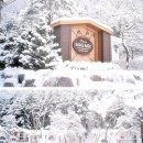 하이디펜션 이미지