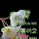 행복한하루 이미지
