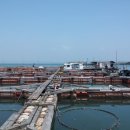 수진좌대2 이미지