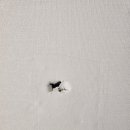 월드비디오 이미지