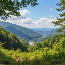 전남가축약품 | 🌟 가족과 함께 떠나는 교외 체험학습 여행지 추천 🚗✨