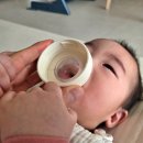아기 유산균 닥터에디션 바이오D 드롭스 추천 유산균부터 비타민D까지 정착한 리얼 후기