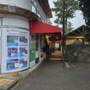 공원 | 제주 김녕미로공원 후기｜미로 탈출 체험 &amp; 전망대 뷰까지