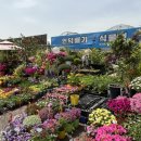 오정식물원 이미지