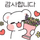 메종드에이치 이미지