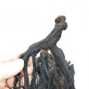 유승엽한의원 이미지