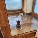 소노펫 스쿨 이미지