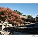 유경사