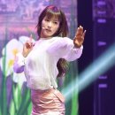 보미 이미지