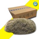 청정해역 이미지