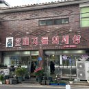 청오돼지들의세상