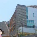 수레실약국 Daum카페