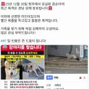 곰순이네 - 보령시 해수욕장9길 2-40 | 곰순이네