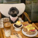 광교 애견동반 가능한 카페 &lt;오드문&gt; | 내돈내산 브런치 맛집 추천
