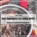 원이네민박 | 태안 하늘에 펜션 낚시 해루질 10만원 패키지 후기 예약방법