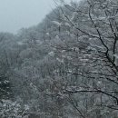 태백산맥 이미지