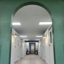 도그캐슬 이미지