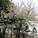 최희섭공원 이미지