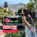 롬바드 - 안성시 중앙대학로 155 | 샌프란시스코 롬바드 스트리트세계에서 가장 구불구불한 거리 여행가이드