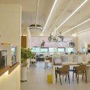 세나살롱 이미지