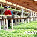 남천축사 이미지