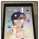 A1403 | 진주아이패드수리 - 에어2정품액정수리