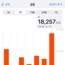 연희야 놀자 이미지