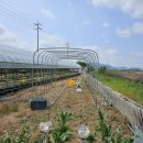 개신농장 이미지