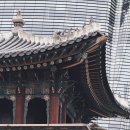 유명 이미지