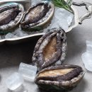 완도전복 이미지