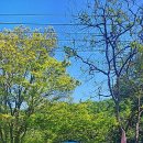 장원빌딩 이미지