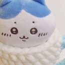 슬로우제인
