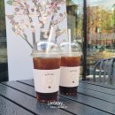 마로니에쉼터 이미지
