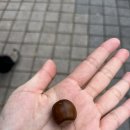 만암농장