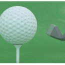 티샷골프아카데미 이미지