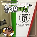 저단50 | [경기/안산] 선부역 태닝샵 추천! "몰디브태닝(안산선부점)" 솔직 후기