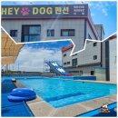 헤이풀빌라2 이미지