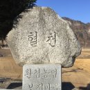 월탄 에코저널