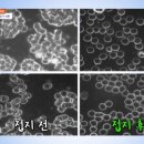 [박동창의 맨발로 걸어라] 맨발 걷기 이론-지압, 접지, 발바닥 아치와 발가락 이론 이미지