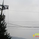J2954 이미지